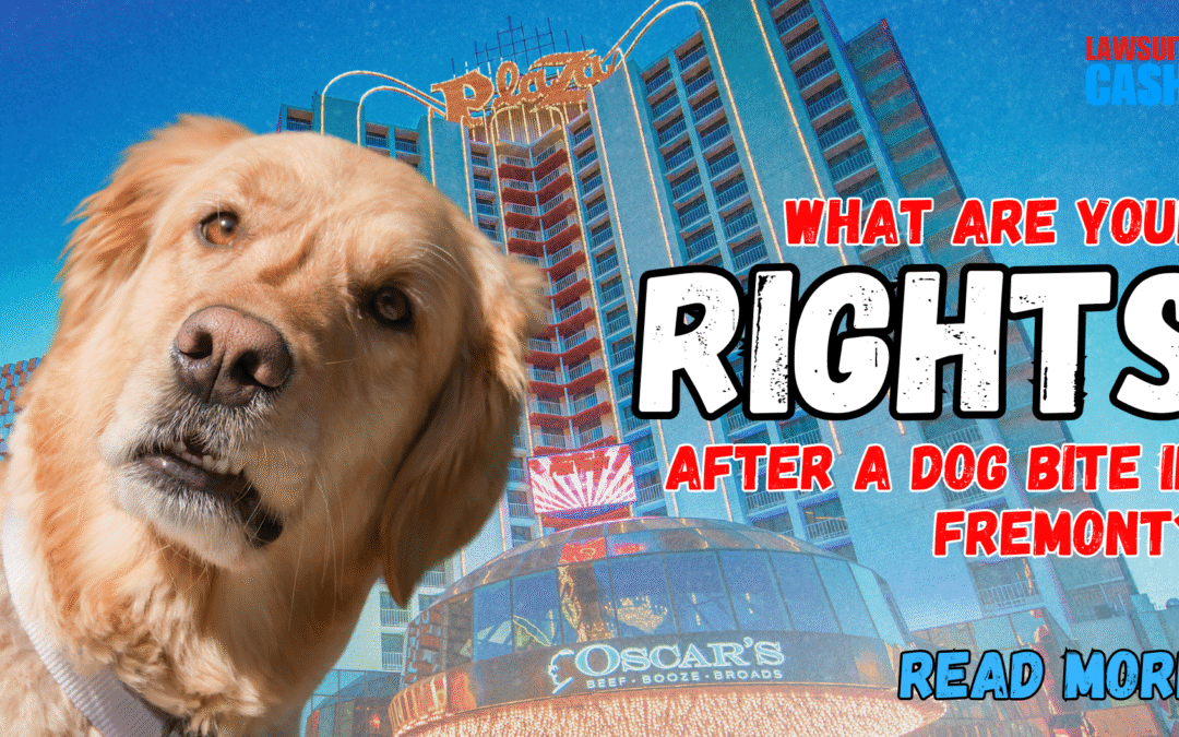 Bitten in Fremont? The Essential Dog Bite Rights Fremont Victims Must Know to Protect Their Future