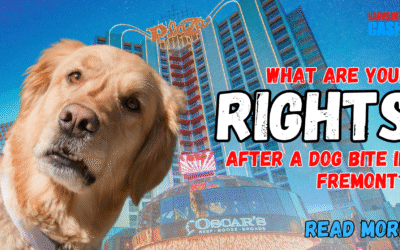 Bitten in Fremont? The Essential Dog Bite Rights Fremont Victims Must Know to Protect Their Future